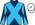 Silk Colours