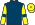 Silk Colours