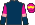 Silk Colours