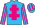 Silk Colours