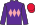 Silk Colours