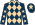 Silk Colours